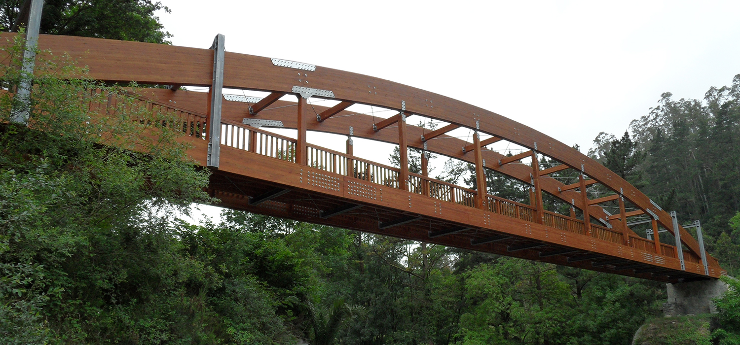 imagen-proyectos-puente-6